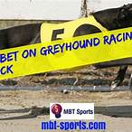 bet on greyhound